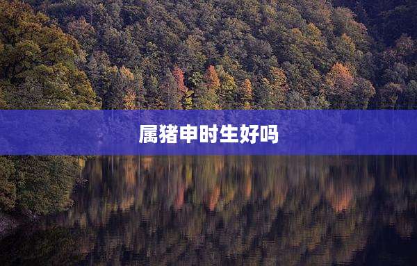 属猪申时生好吗