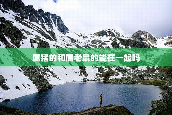 属猪的和属老鼠的能在一起吗