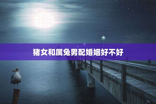 猪女和属兔男配婚姻好不好