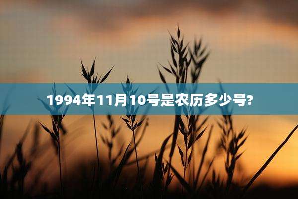 1994年11月10号是农历多少号?