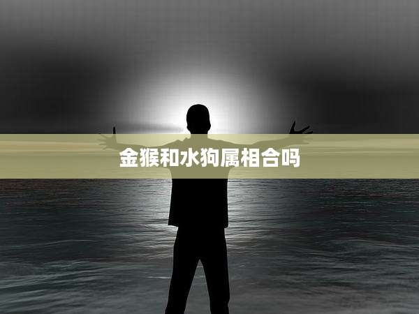 金猴和水狗属相合吗