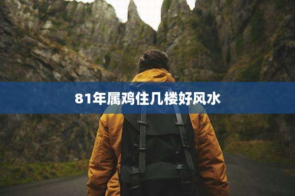 81年属鸡住几楼好风水