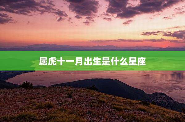 属虎十一月出生是什么星座