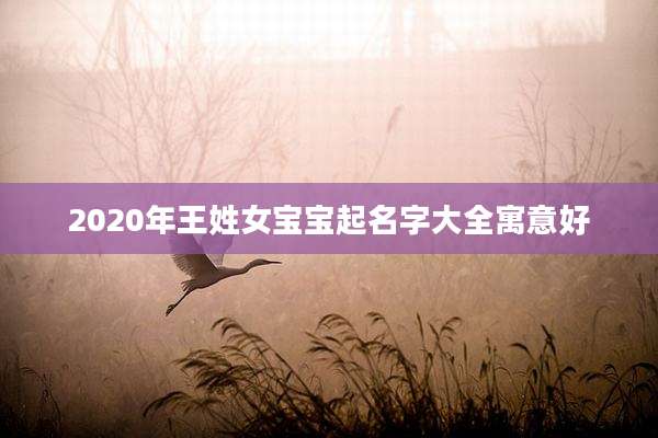 2020年王姓女宝宝起名字大全寓意好