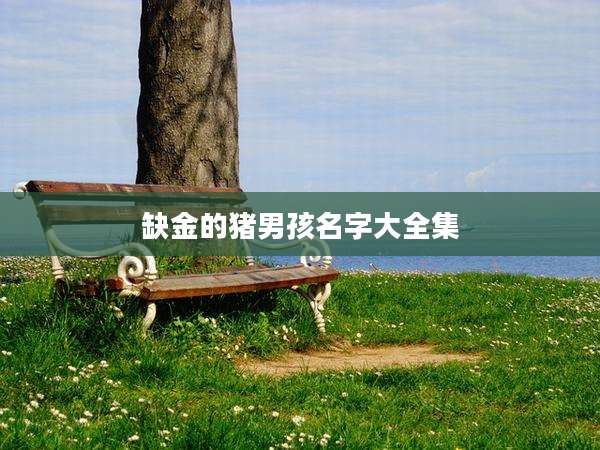 缺金的猪男孩名字大全集