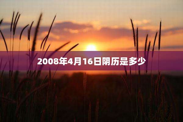 2008年4月16日阴历是多少