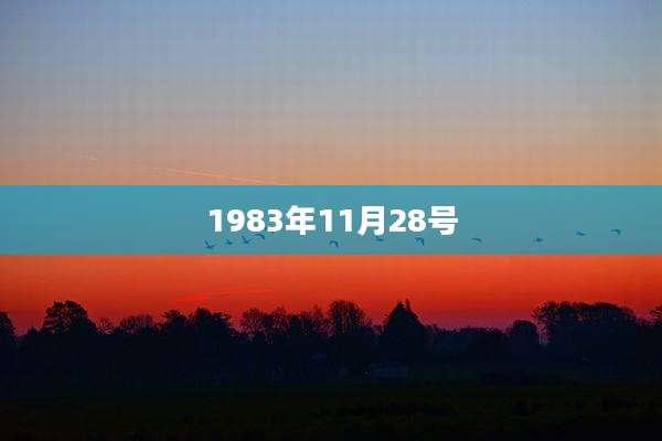 1983年11月28号