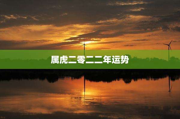 属虎二零二二年运势