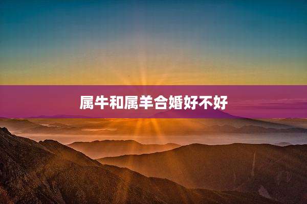 属牛和属羊合婚好不好