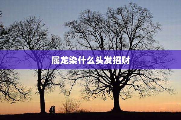 属龙染什么头发招财