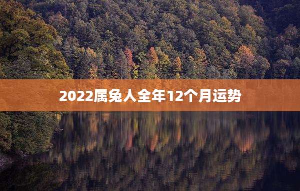 2022属兔人全年12个月运势