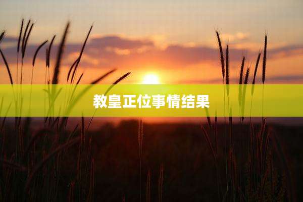 教皇正位事情结果
