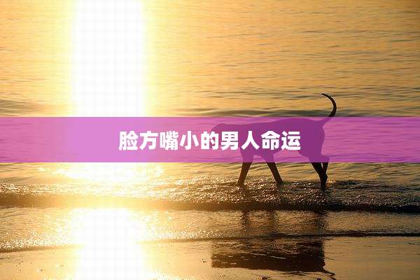 脸方嘴小的男人命运