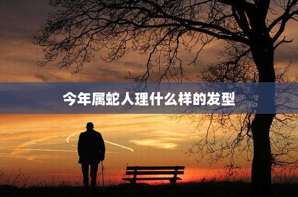 今年属蛇人理什么样的发型