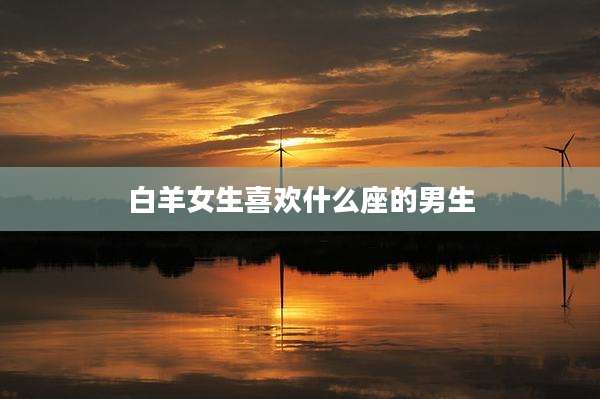 白羊女生喜欢什么座的男生