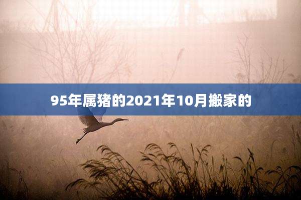 95年属猪的2021年10月搬家的