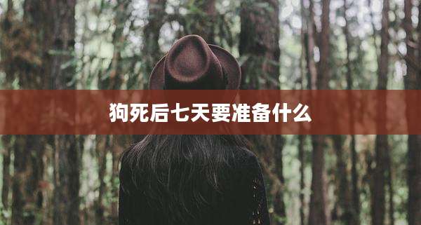 狗死后七天要准备什么
