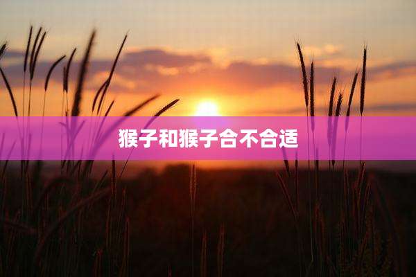 猴子和猴子合不合适