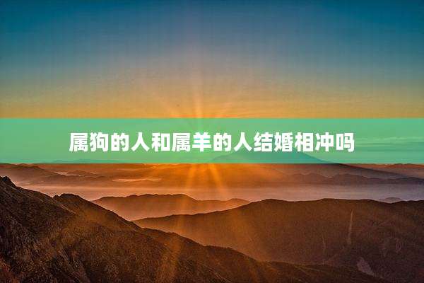 属狗的人和属羊的人结婚相冲吗