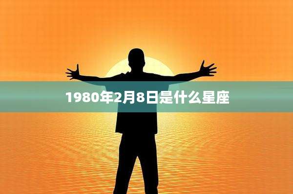 1980年2月8日是什么星座
