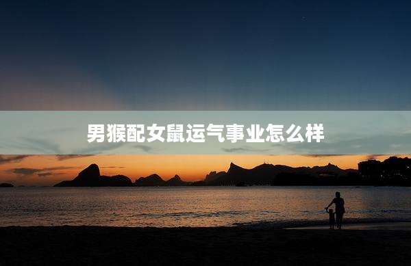 男猴配女鼠运气事业怎么样