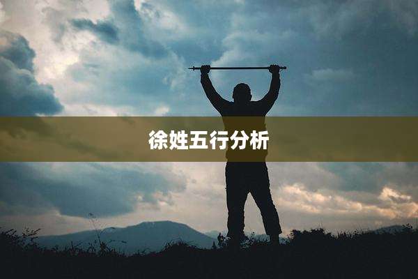 徐姓五行分析