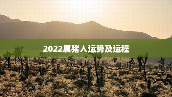 2022属猪人运势及运程