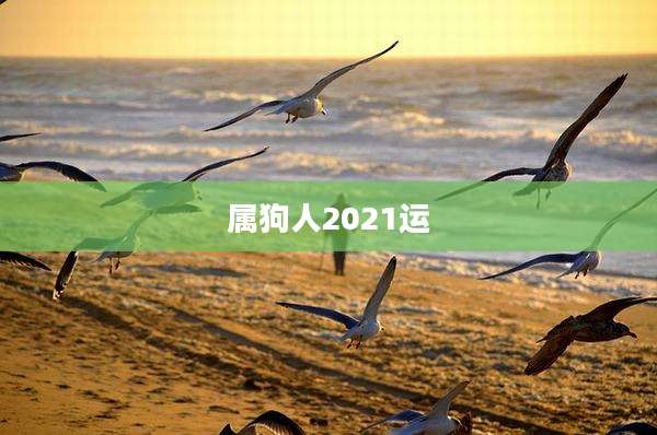 属狗人2021运