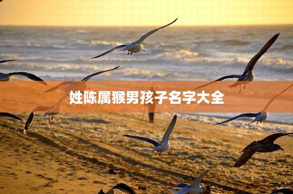姓陈属猴男孩子名字大全