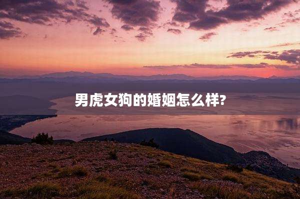 男虎女狗的婚姻怎么样?
