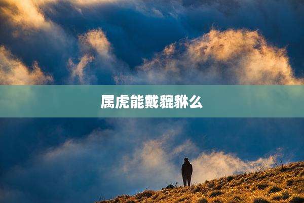 属虎能戴貔貅么