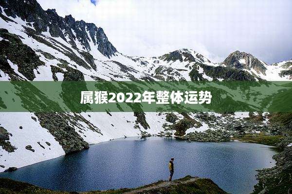 属猴2022年整体运势