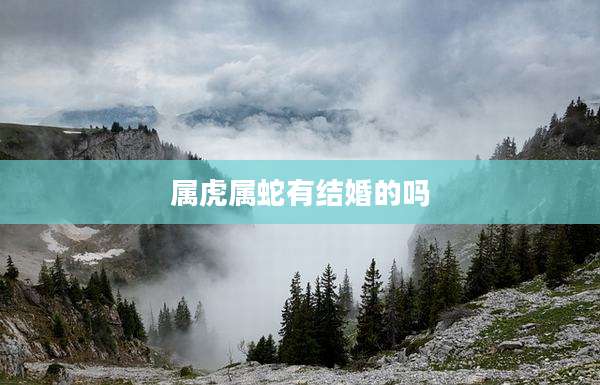 属虎属蛇有结婚的吗