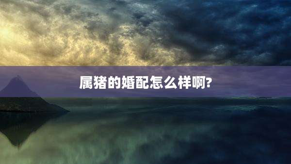 属猪的婚配怎么样啊?
