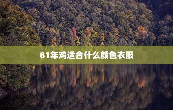 81年鸡适合什么颜色衣服