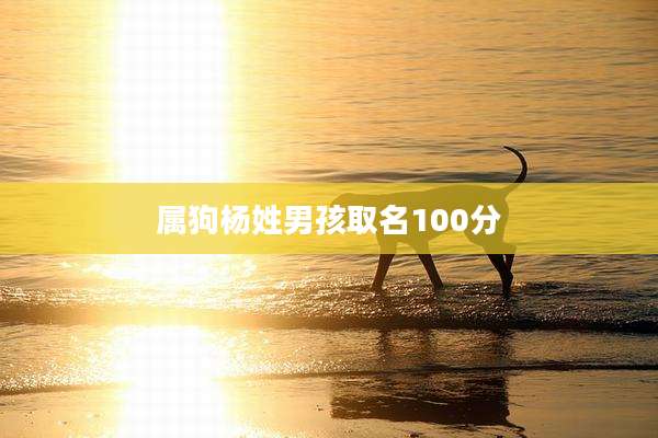 属狗杨姓男孩取名100分