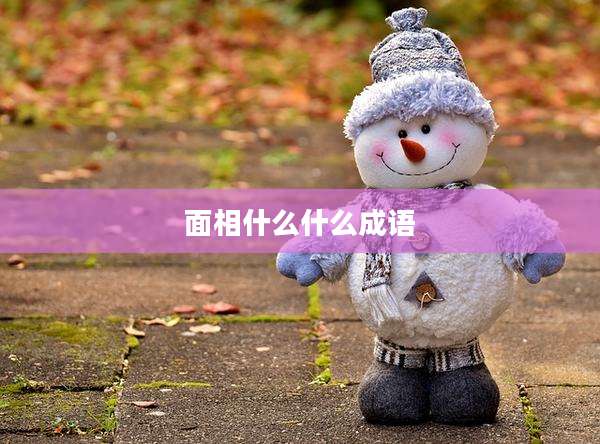 面相什么什么成语