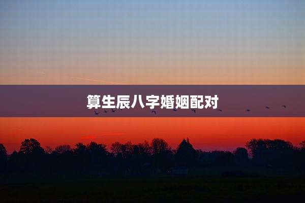 算生辰八字婚姻配对