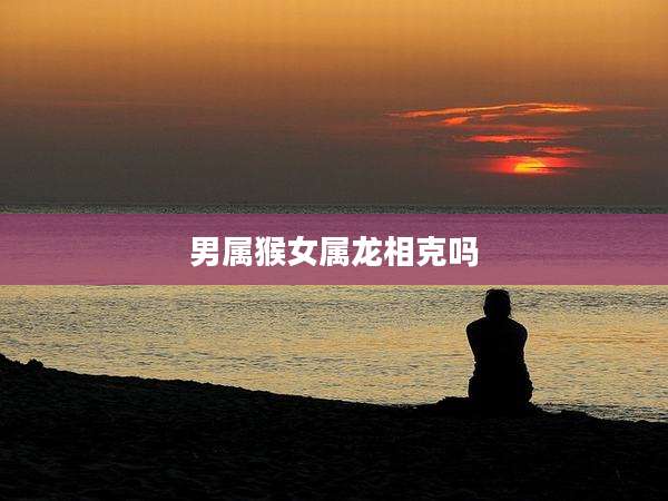 男属猴女属龙相克吗