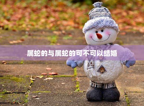 属蛇的与属蛇的可不可以结婚