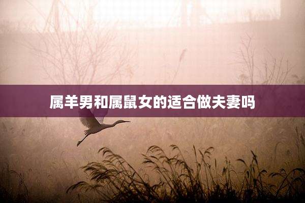 属羊男和属鼠女的适合做夫妻吗