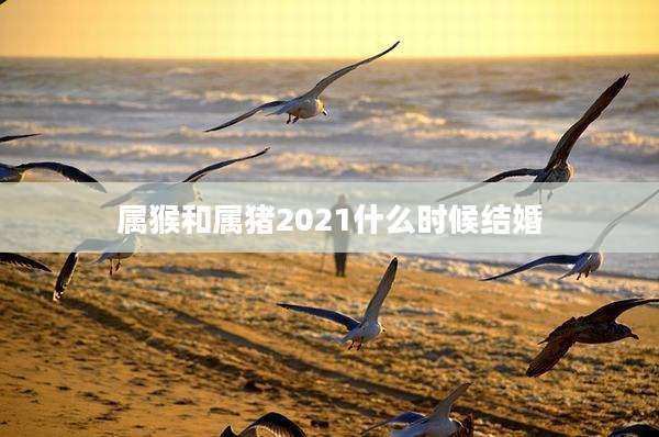 属猴和属猪2021什么时候结婚
