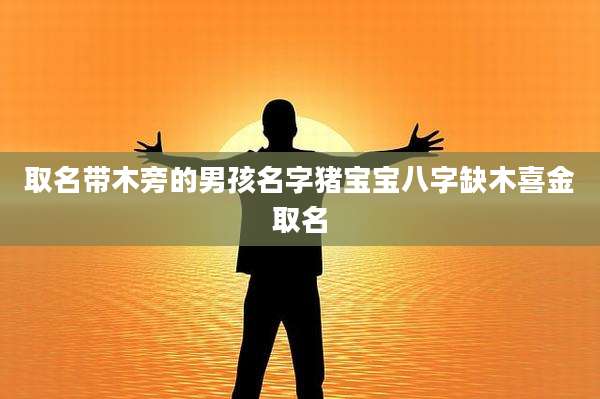 取名带木旁的男孩名字猪宝宝八字缺木喜金取名