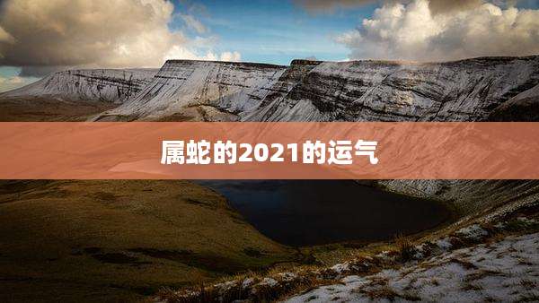 属蛇的2021的运气