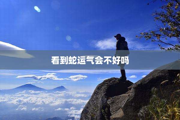 看到蛇运气会不好吗