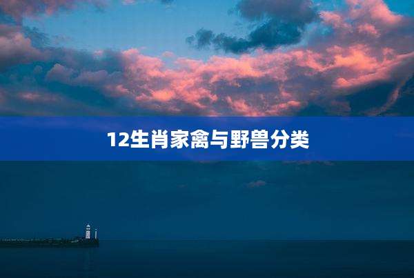 12生肖家禽与野兽分类