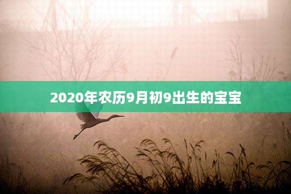2020年农历9月初9出生的宝宝