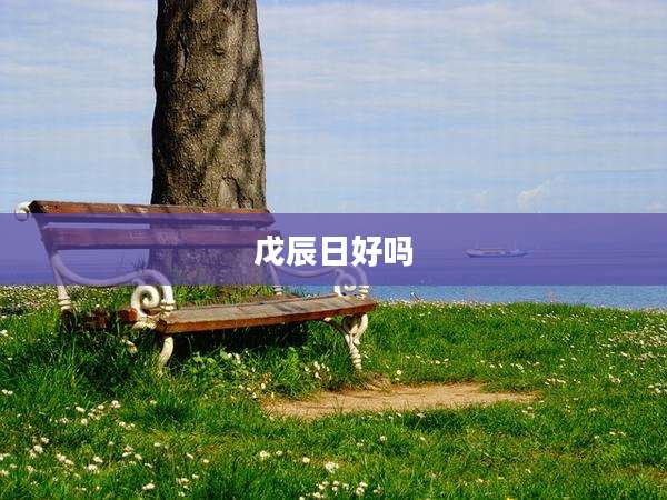 戊辰日好吗