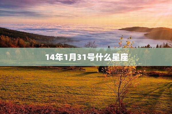 14年1月31号什么星座