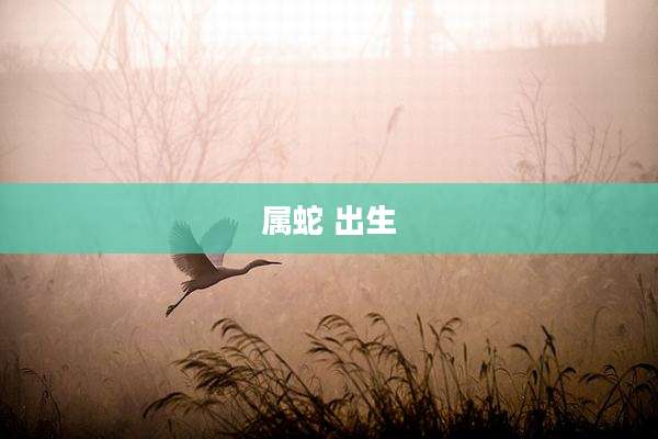 属蛇 出生
